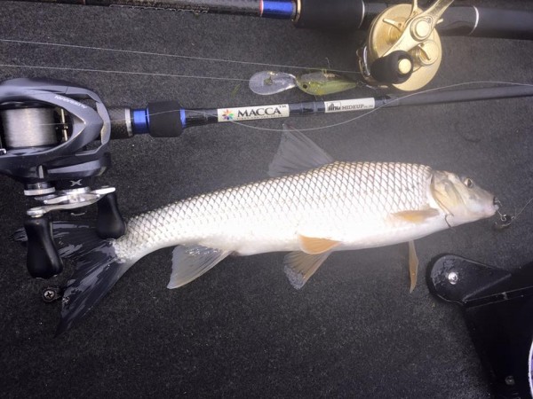 hideup 永野総一朗 ブログ写真 2015/11/09