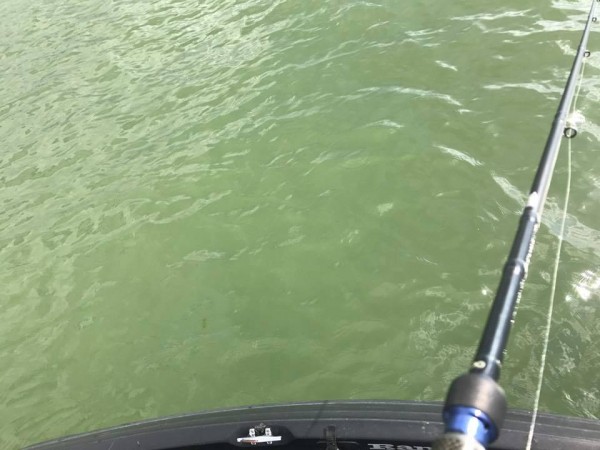 hideup 永野総一朗 ブログ写真 2017/09/19