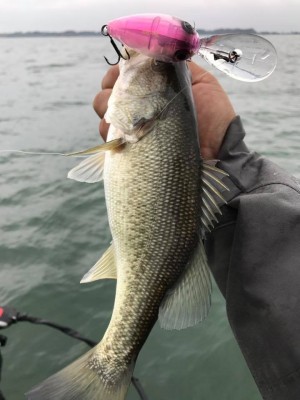 hideup 永野総一朗 ブログ写真 2017/11/08