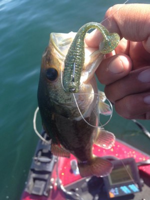 hideup 永野総一朗 ブログ写真 2015/05/21