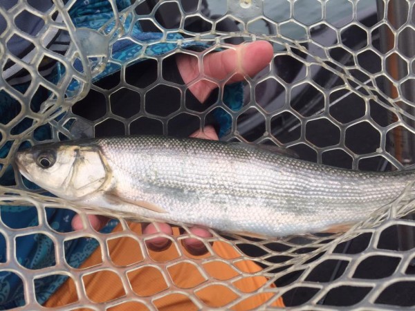 hideup 永野総一朗 ブログ写真 2017/03/06