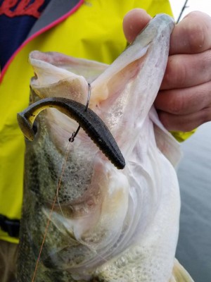 hideup 永野総一朗 ブログ写真 2017/05/12