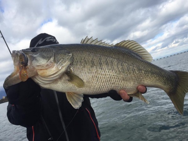hideup 永野総一朗 ブログ写真 2016/12/15