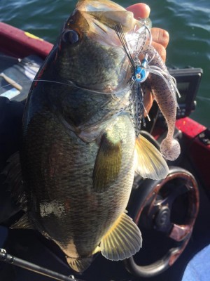 hideup 永野総一朗 ブログ写真 2015/10/14