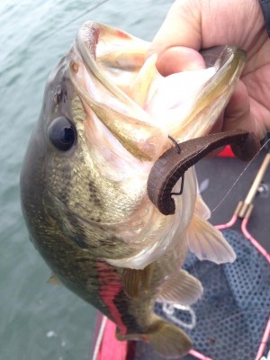 hideup 永野総一朗 ブログ写真 2015/04/20