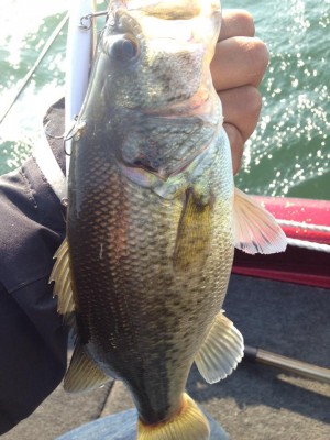 hideup 永野総一朗 ブログ写真 2015/04/25