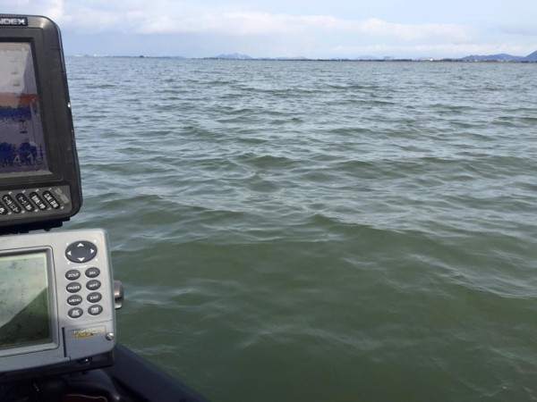 hideup 豌ｸ驥守ｷ丈ｸ譛� 繝悶Ο繧ｰ蜀咏悄 2016/01/22