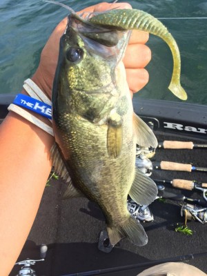 hideup 永野総一朗 ブログ写真 2016/07/15