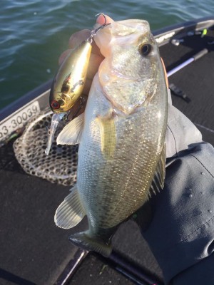 hideup 永野総一朗 ブログ写真 2016/11/18