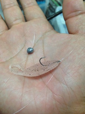 hideup 永野総一朗 ブログ写真 2014/10/26