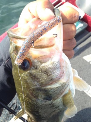 hideup 永野総一朗 ブログ写真 2015/06/01