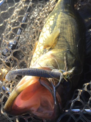 hideup 永野総一朗 ブログ写真 2016/12/25