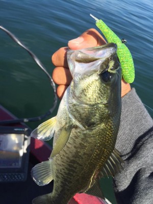 hideup 永野総一朗 ブログ写真 2015/10/03