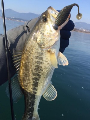 hideup 永野総一朗 ブログ写真 2017/02/16