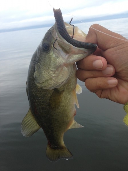 hideup 永野総一朗 ブログ写真 2013/10/09