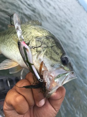 hideup 永野総一朗 ブログ写真 2017/08/05