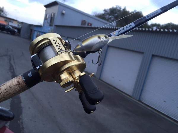 hideup 豌ｸ驥守ｷ丈ｸ譛� 繝悶Ο繧ｰ蜀咏悄 2015/10/08