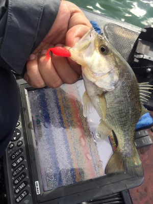 hideup 永野総一朗 ブログ写真 2017/01/26