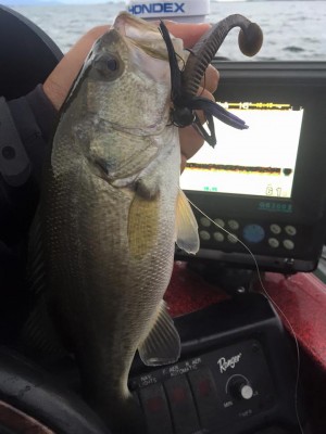 hideup 永野総一朗 ブログ写真 2015/11/19