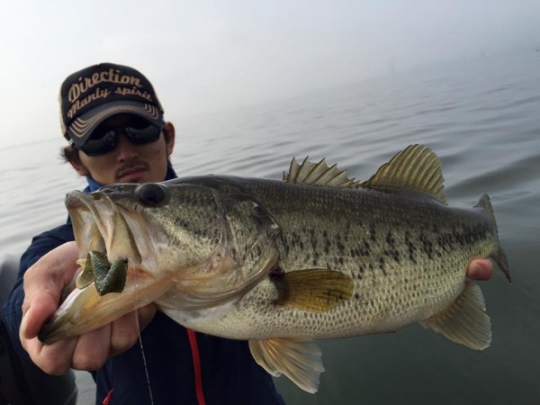 hideup 永野総一朗 ブログ写真 2016/04/09