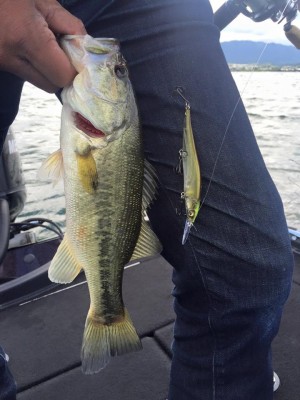 hideup 永野総一朗 ブログ写真 2016/06/01