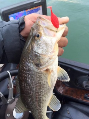 hideup 永野総一朗 ブログ写真 2017/01/22