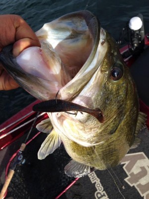 hideup 永野総一朗 ブログ写真 2015/05/25