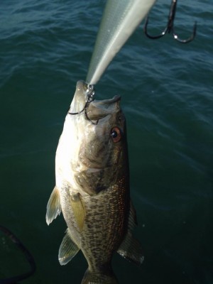 hideup 永野総一朗 ブログ写真 2015/04/26