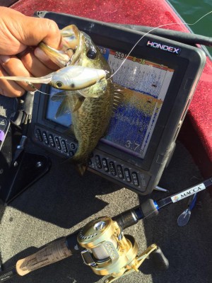 hideup 永野総一朗 ブログ写真 2015/10/07