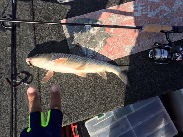 hideup 永野総一朗 ブログ写真 2015/12/26