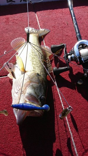 hideup 永野総一朗 ブログ写真 2017/12/12