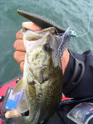 hideup 永野総一朗 ブログ写真 2015/10/12