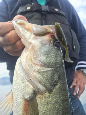 hideup 永野総一朗 ブログ写真 2015/10/06