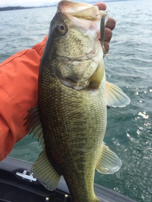 hideup 永野総一朗 ブログ写真 2017/03/30