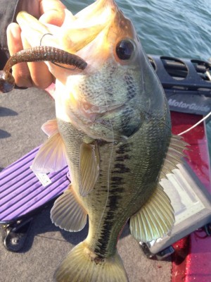 hideup 永野総一朗 ブログ写真 2015/05/09