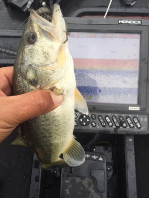 hideup 永野総一朗 ブログ写真 2016/11/19