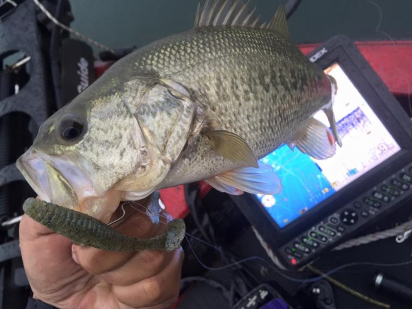 hideup 永野総一朗 ブログ写真 2015/11/17