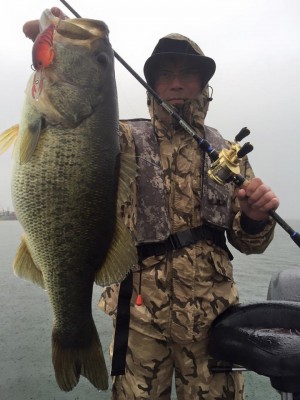 hideup 豌ｸ驥守ｷ丈ｸ譛� 繝悶Ο繧ｰ蜀咏悄 2016/04/07