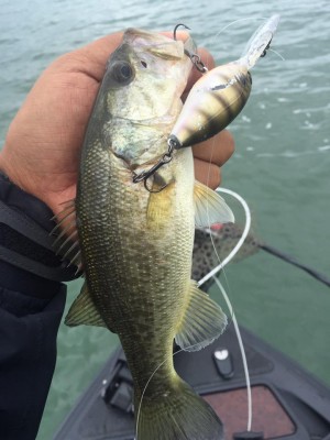 hideup 永野総一朗 ブログ写真 2016/09/23