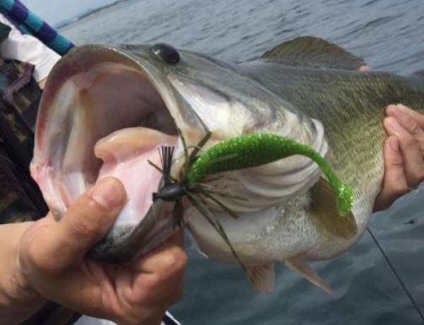 hideup 永野総一朗 ブログ写真 2015/08/06