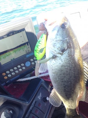 hideup 永野総一朗 ブログ写真 2014/11/04