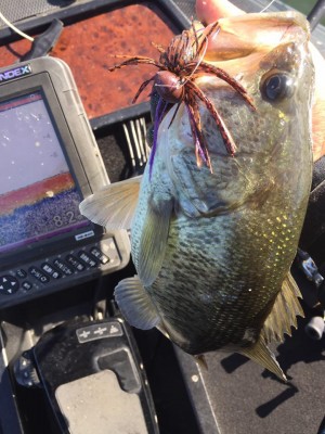 hideup 永野総一朗 ブログ写真 2016/10/08