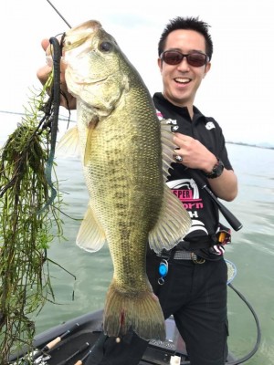 hideup 永野総一朗 ブログ写真 2017/06/19