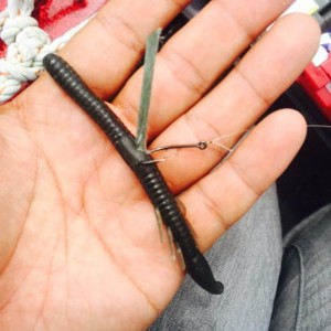 hideup 永野総一朗 ブログ写真 2015/07/11