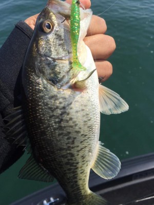 hideup 永野総一朗 ブログ写真 2017/03/21