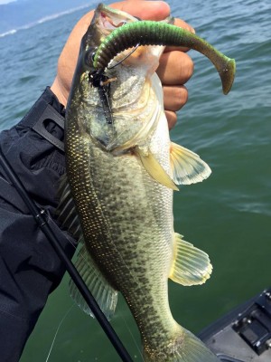 hideup 永野総一朗 ブログ写真 2016/05/03