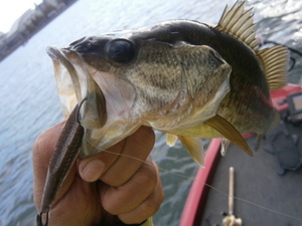 hideup 永野総一朗 ブログ写真 2014/09/14