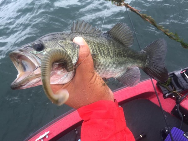 hideup 永野総一朗 ブログ写真 2015/07/23