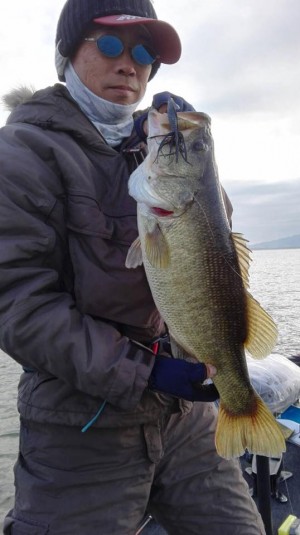 hideup 豌ｸ驥守ｷ丈ｸ譛� 繝悶Ο繧ｰ蜀咏悄 2017/12/10