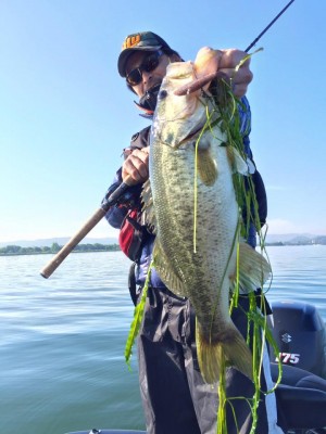 hideup 永野総一朗 ブログ写真 2016/05/19